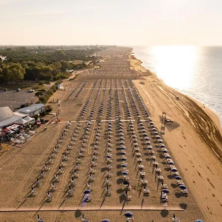 Just Few Meters From The ביביונה