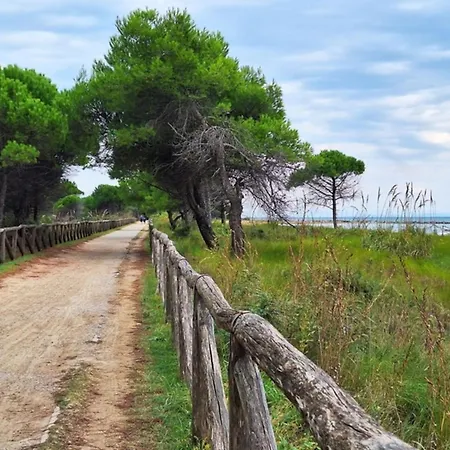 Just Few Meters From The Bibione